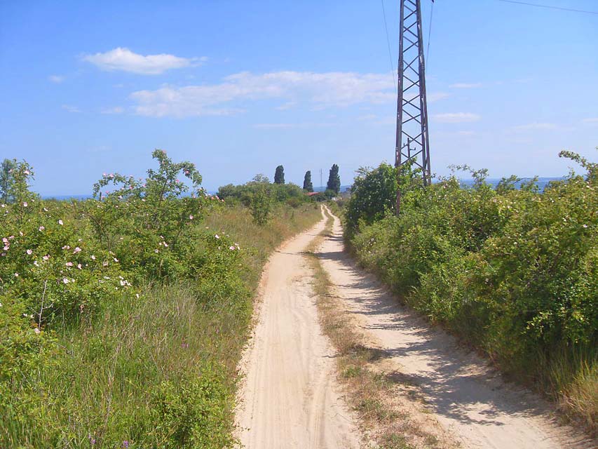 The road to the bliznaci, dolen bliznak plot